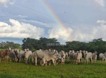 Imagem 1 · Fazenda