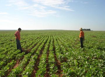 Rural de 3 quartos, Paranhos · FAZENDA 1.620 HECTARES EM PARANHOS MS PECUÁRIA E AGRICULTURA