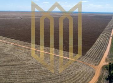 Fazenda a Venda em Campo Novo do Parecis MT · Fazenda a Venda em Campo Novo do Parecis MT
