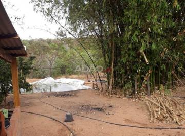 imagem-1 · Chácara em Palestina de Goiás Chácara à Venda, 220.00 por R$ 900000.00 IN6944