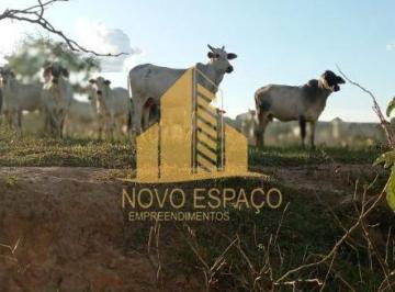 Rural · 1210000m² · Rurais à venda - no Centro