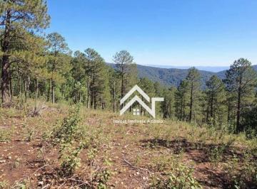 5bbe25cdee2f32db53afbd292ce0165cdc502b4f · Terreno à venda, 3600 m² por R$ 300.000,00 - Rio Abaixo - Atibaia/SP