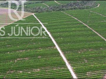 Foto 01 · Fazenda à venda em Comandatuba, Una-BA: 1.820,64 hectares de excelente oportunidade!