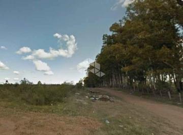 Terreno · 1200m² · Terreno à Venda em Arvorezinha, Bagé - R$ 55.000