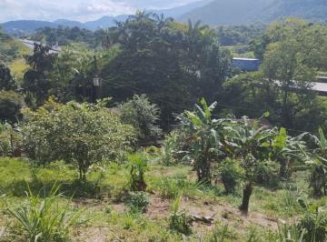 Rural de 5 quartos, Miracatu · Sítio Produtivo em Miracatu: 12ha com 3.000 pés de Pupunha e Água Mineral - Documentação em ordem