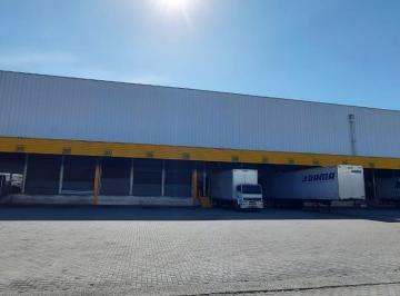 Comercial · 3132m² · Galpão 3132 m² – 13 docas – Guarulhos/Dutra