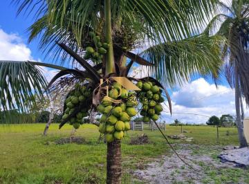 Foto 01 · Fazenda, Porto Seguro, Santa Cruz Cabrália, BA
