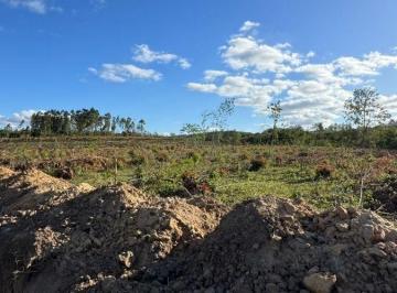 Terreno , Alumínio · Terreno interior SP 1000m² com nascente e financiamento direto