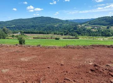 Terreno · 10000m² · Área de terra bairro Quatro Cantos, Picada Café.RS