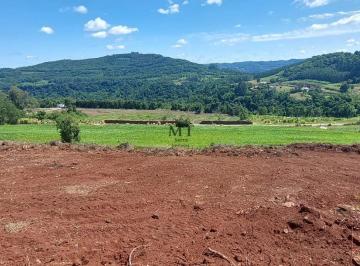Terreno · 10000m² · Área de terra bairro Quatro Cantos, Picada Café.RS