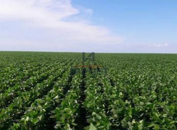 Imagem 1 · Fazenda