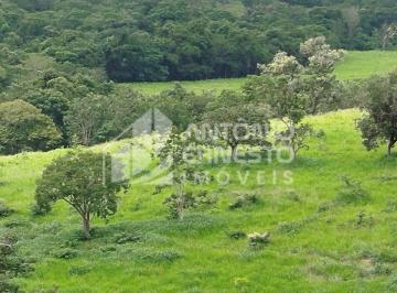 Rural , Curvelo · FAZENDA 142 HECTARES, CURVRLO/MG