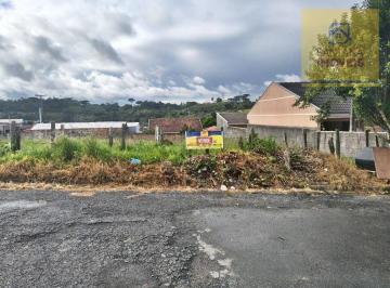 95aa98324881f5e8edc12679e041b0a3b9efc0e3 · Terreno à venda, 360 m² por R$ 280.000 - Loteamento Helvidia - Campo Largo/PR