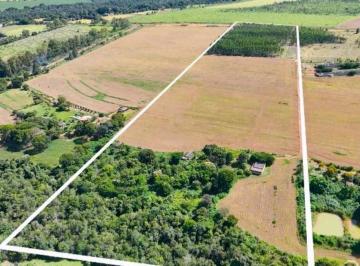Rural de 3 quartos, Planaltina · FAZENDA REGULARIZADA PELA TERRACAP -ZONA RURAL - PLANALTINA -DF - PRODUZINDO AGRICULTURA