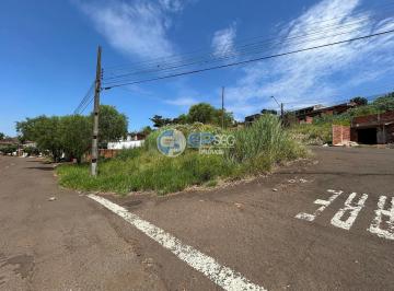 IMG_9679.jpg · Terreno à venda, Olímpico, Londrina, PR