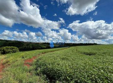 Terreno · 40000m² · Terreno à venda, 40000 m² por R$ 6.400.000,00 -  Contorno Norte de Ibiporã - Ibiporã/PR