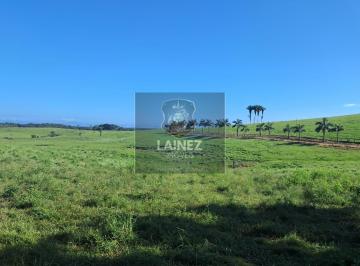 Rural · 7260000m² · Fazenda em Centro - Iguape