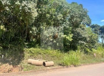 Foto 01 · Terreno Plano à Venda em Nova Petrópolis | 376m² Linha Imperial | Pronto para Construir