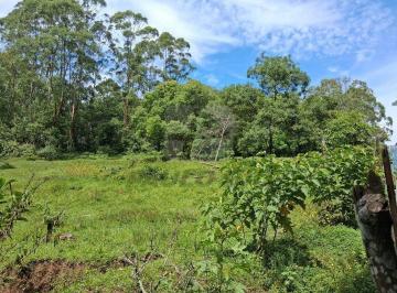 Terreno · 48400m² · Terreno à venda - em Cooperativa
