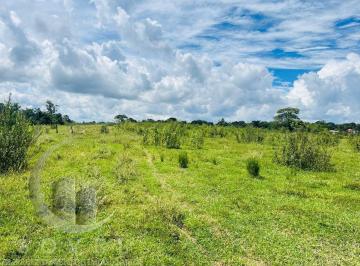 202603231125347477.jpeg · Sítio / Chácara para Venda em Rio Claro, rural, 2 dormitórios