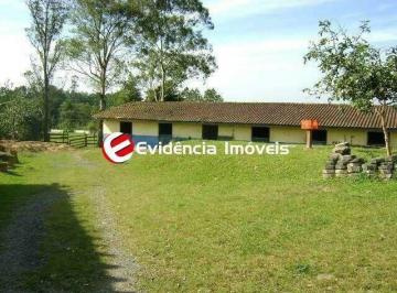 Rural · 10000m² · Chácara à venda, 10000 m² por R$ 1.000.000,00 - Parque das Garças - Santo André/SP