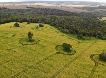Foto 01 · Fazenda na região de itapeva  1064 hectares  110 milhões ou 120 milhões parcelado Está com plantio d