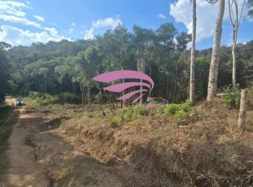 Foto 01 · Chacara, Malhada, São José dos Pinhais, PR
