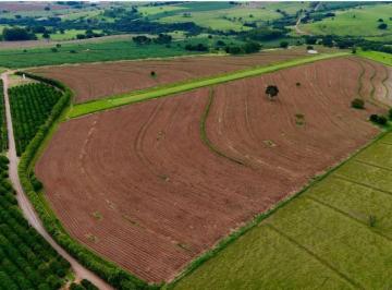 Rural de 3 quartos, Marília · Fazenda Aeronáutica 56ha em Marília/SP: Pista de 900m, Hangar e Solo de Alta Produtividade