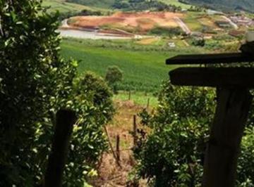 Rural · 24000m² · Rurais à venda - em Toledo