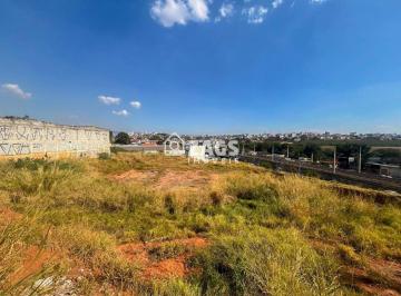 Terreno · 7750m² · 500 Vagas · Lote - Aluga - Bairro Primeiro de Maio 