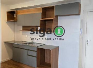 Apartamento · 37m² · 1 Quarto · Apartamento de 37 metros 1 dormitório a venda No jardim  Guedala