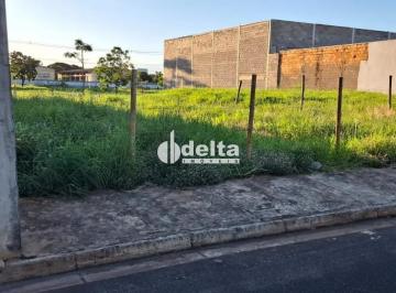 Terreno · 300m² · Terreno disponível para venda no bairro Novo Mundo em Uberlândia MG