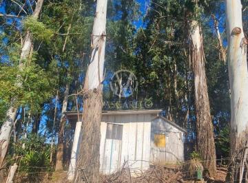 Rural · 6000m² · 1 Quarto · PERMUTA POR APARTAMENTO - Chácara 6.2400 m² no Rincão das Flores