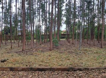 Terreno , Brasília · Lote 431m2 na Colônia Agrícola Vereda da Cruz