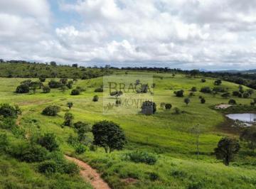 Foto 01 · FAZENDA PARA CRIA E RECIA EM MUNDO NOVO - BA