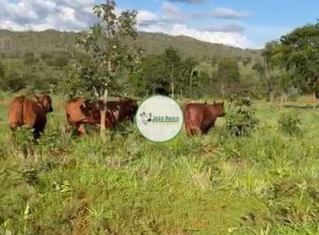 Rural , Nova Roma · Arrendamento agrícola em Nova Roma-GO - 800 Hectares - 400 HA em pastos - PARA LAVOURA