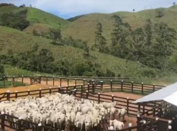 Fazenda, Venda, Maria Mendonça, Trajano de Morais · Fazenda a venda, Maria Mendonça, Trajano de Morais, com 90 alqueires, 60% em pasto