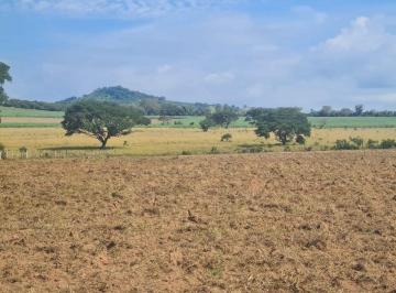 Rural de 2 quartos, São Sebastião do Paraíso · Sítio ,área útil muito boa ,topografia tamben