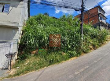 Foto 07 · Terreno à venda em Embu das Artes-SP, Jardim Santa Luzia: 140m² de oportunidade imperdível!