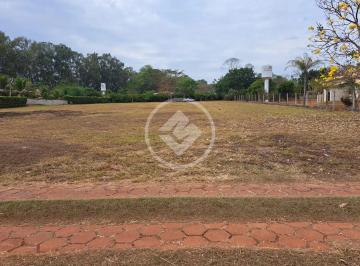 WhatsApp Image 2026-02-18 at 19.11.57 (2).jpeg · Área no Sitio de Recreio Paraiso Tropical codigo: 277229