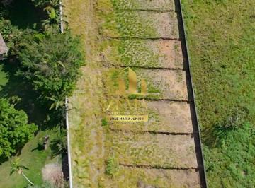 Terreno · 3000m² · Terreno plano 3.000 M², Murado, localização estratégica. Doc 100%