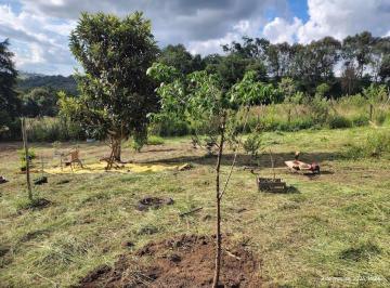 IMG20260303162442331HDR.jpg · Terreno para Venda em Munhoz/MG - 1 Dorm. 4500 m2 Área Útil