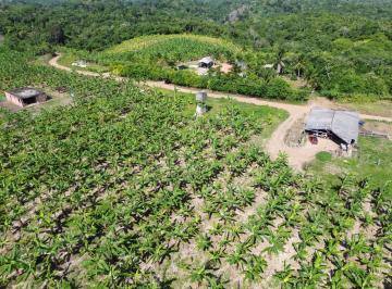 DJI0327.JPG · Rural para Venda em Ilhéus/BA - 8 Dorm. 550000 m2 Área Útil