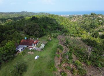 DJI0372.JPG · Rural para Venda em Ilhéus/BA - 4 Dorm. 230000 m2 Área Útil