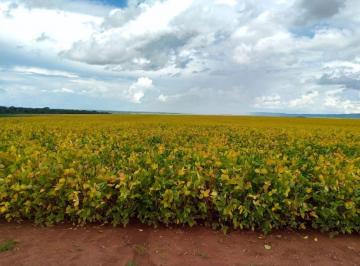 Rural de 3 quartos, Gaúcha do Norte · FAZENDA 22.843 HECTARES EM GAÚCHA DO NORTE MT /ARRENDAMENTO