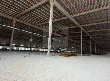 Comercial · 79000m² · Comercial para aluguel - em Rio Pequeno