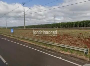 011774362025641.jpg · Terreno 21.500m² na BR-376 em Apucarana, ao lado do aeroporto, ideal para galpões, loteamento ou com