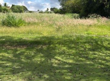 Rural · 4008m² · VENDA | Chácara, em PARQUE ALVAMAR, SARANDI