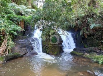 d08b39baf367585db1e42172855c112feeb9d180 · Sítio com Cachoeira Incrível, 3 dormitórios à venda, 34000 m² por R$ 3.900.000 - Venâncios - Gonçalv