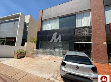 Fachada Unidade · Salão/Galpão (salão - térreo) , elevador